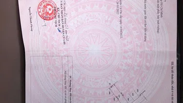 Nền 100m2 mặt tiền đường nhựa 129, xã Tân Thạnh Đông, Củ Chi giá 2,6 tỷ