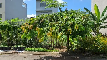 Bán đất đường 659 Phước Long B Quận 9 giá 15 tỷ