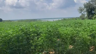 Bán đất xã Minh Hòa View Hồ Dầu Tiếng Bình Dương giá 47 tỷ