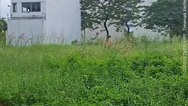 Bán Đất mặt tiền Nguyễn Văn Kỉnh Quận 2 giá 30 tỷ