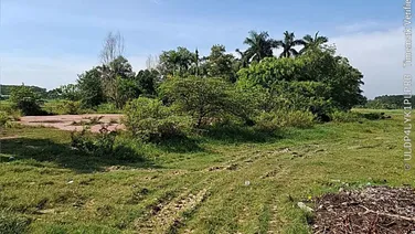 Bán đất đường 623 xã Phước Hiệp huyện Củ Chi giá 170 tỷ