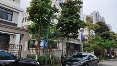 Bán Nhà vị trí Mỹ Đình 2 , Nhà Mặt Tiền Phố Kinh Doanh. Bùi Xuân Phái. Hàm Nghi .
DT 126 m2 x 6 T