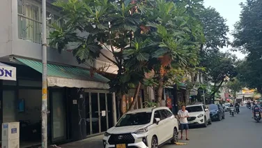 Đất mặt tiền đường số 79 Tân quy quận 7. 4*21 giá 15,3 tỷ.