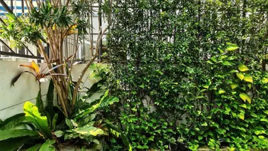Bán nhà phố Khu compound Melosa Garden Khang Điền Quận 9 Sân vườn,3L Tặng nội thất ~0903034123