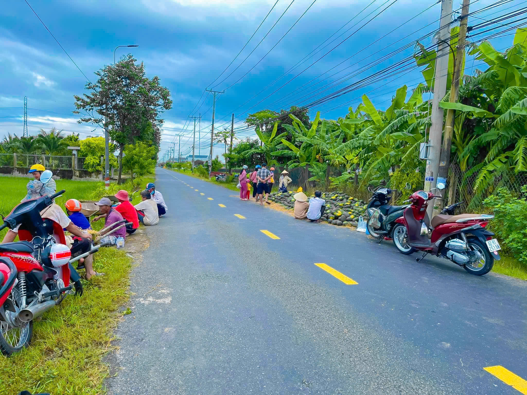 cần bán miếng đất thổ cư mặt tiền TL 833C , ấp 5 Quê Mỹ Thạnh, Huyện Tân Trụ, Long An