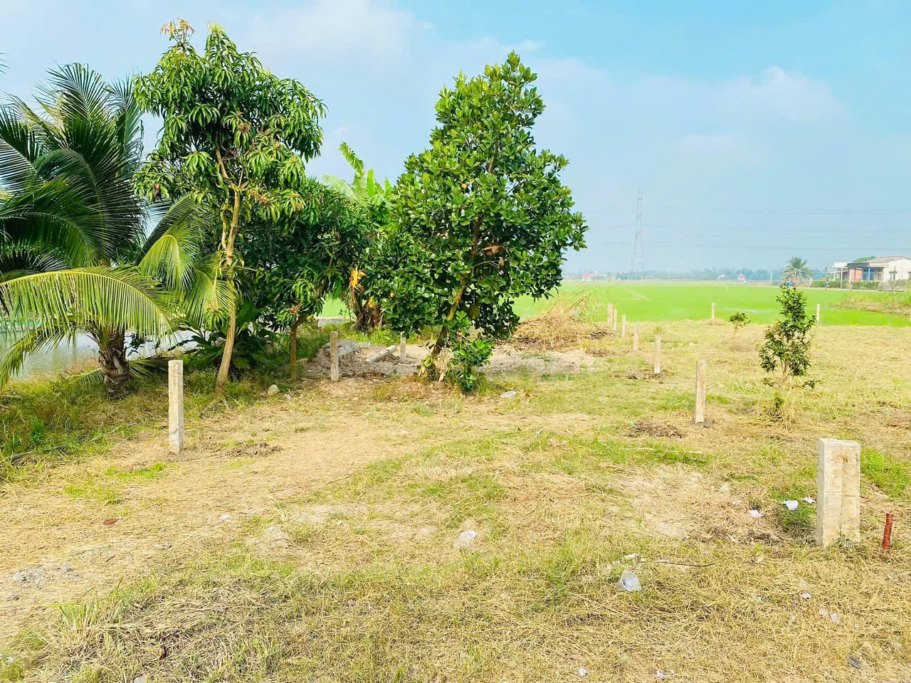 5x30 thổ cư MT nguyễn văn dư giá 750tr ngay chợ bình lãng tân trụ