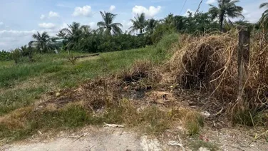 Cách chợ Binh lãng TL833 vào 1km 9,35x27 giá 900tr Tân Trụ Long An