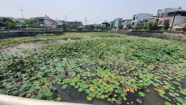 Chốt ngay nhà đẹp ở trước hồ sen gần Điện Biên Phủ, Q.Thanh Khê, TP. Đà Nẵng