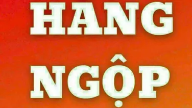 Sỡ hữu ngay căn homestay đẹp gần đường Chế Lan Viên, Q.Ngũ Hành Sơn, TP. Đà Nẵng