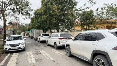 Bán đất đấu giá mặt tiền kinh doanh, vị trí đắc địa tại Chi Đông, Mê Linh, HN.