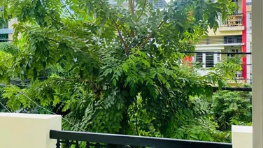 BÁN GẤP NHÀ MẶT TIỀN ĐƯỜNG DC11 – SƠN KỲ, TÂN PHÚ