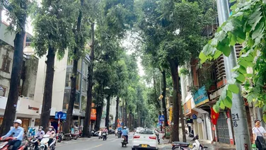 Cần bán nhà mặt phố Lê Duẩn – Hoàn Kiếm, vị trí cực phẩm, 155m2 sổ cực đẹp