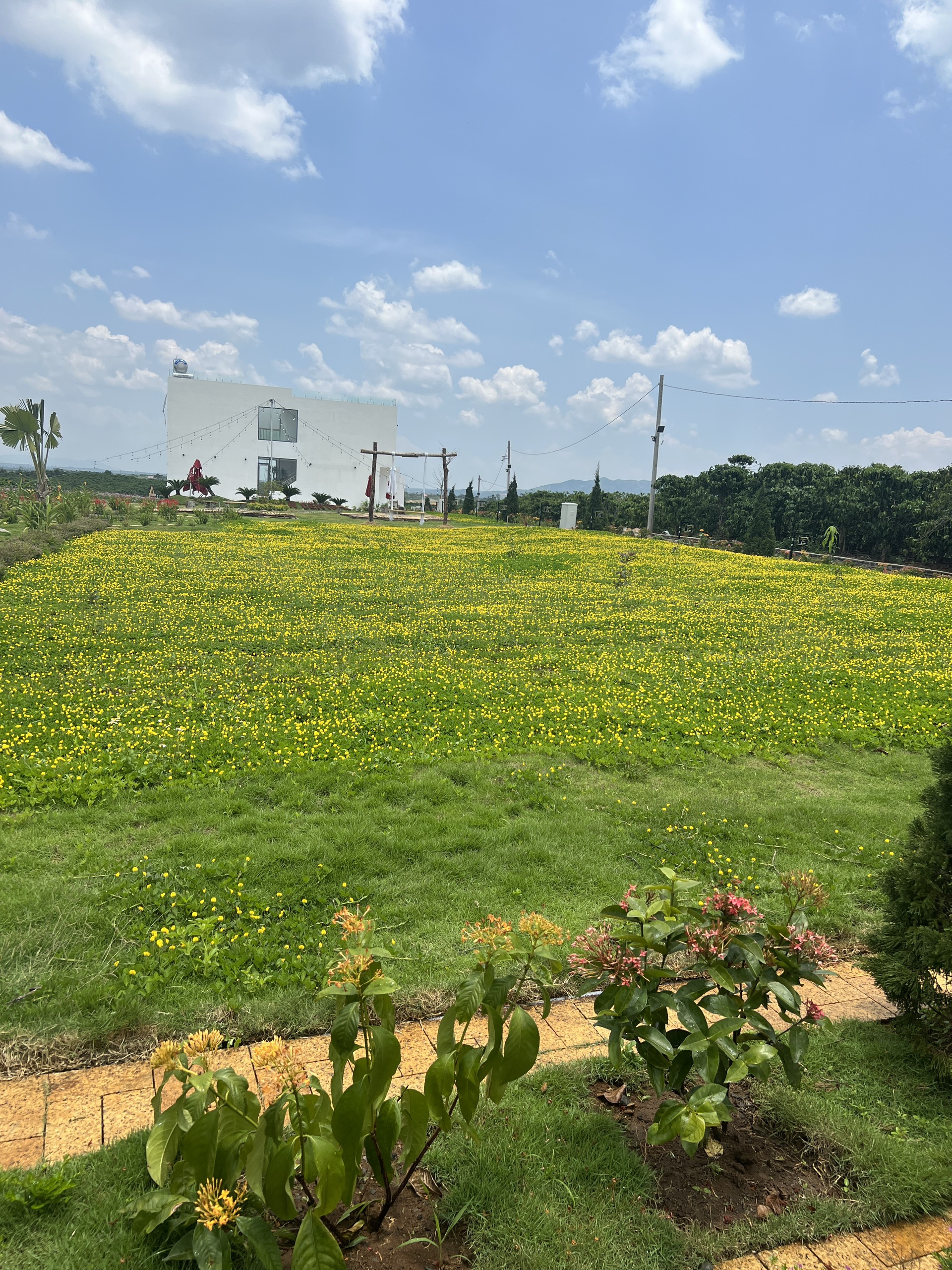 CHỦ ĐI NƯỚC NGOÀI CẦN RA GẤP 3 NỀN ĐẸP Ở LỘC AN - GIÁ CỰC SỐC!!!