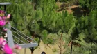 ĐẤT NHÀ VƯỜN VIEW 360° – SUỐI SAU NHÀ – HỒ CẢNH QUAN TRƯỚC MẮT – GIÁ TỪ 2,5 TỶ