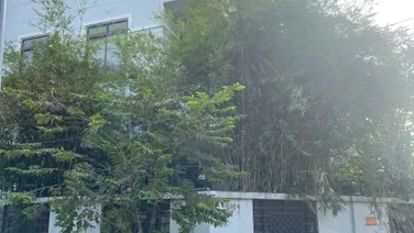 CHO THUÊ BIỆT THỰ CĂN GỐC, HIM LAM 6A, BÌNH HƯNG, BÌNH CHÁNH, TP.HỒ CHÍ MINH