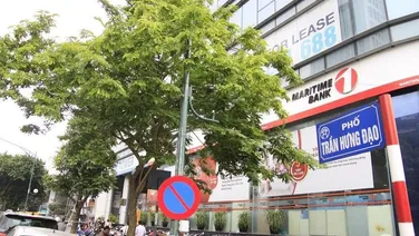 Binhbds cho thuê nhà Trần Hưng Đạo – Hạ Hồi 150m2 x 3 tầng 50tr/tháng