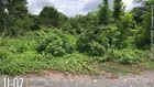 Bán Lô Đất Vườn 552m2 mặt tiền Kênh Lí tại Xã Nhuận Đức, Huyện Củ Chi, TP.HCM
