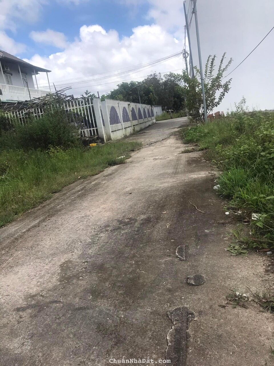 Một lô đất đẹp giá rẻ nhất cây thông trong TP. phú quốc.