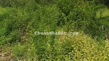 bán đất thổ cư ở tp Tân An , Long An