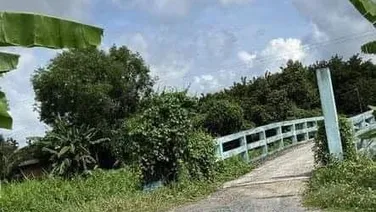 0,5 hecta đất trồng cây lâu năm xã Phú Hòa Đông,Củ Chi giá 8,5 tỷ