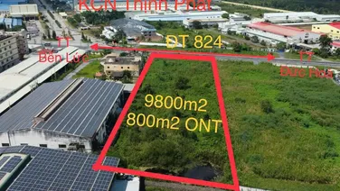 9800m2 đất mặt tiền Tỉnh lộ 824 xã Lương Bình,huyện Bến Lức giá 43 tỷ