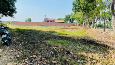 Nhà vườn xã Thái Mỹ, huyện Củ Chi dt gần 1000m2 giá 3ty