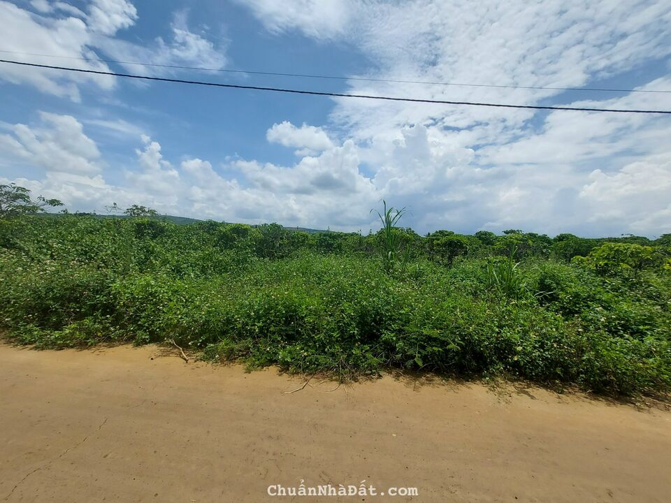 Đất nền Trung tâm TT Đinh Văn – Huyện Lâm Hà – giá 700tr