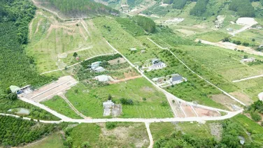 501m2 chỉ 1 tỉ 6 Khu Biệt Thự - Biệt Lập ở Đà Lạt 2