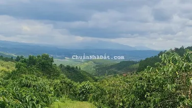 HOT ❗ 3.5 TỈ MUA ĐƯỢC 7.000M2 ĐẤT VEN ĐÀ LẠT ‼