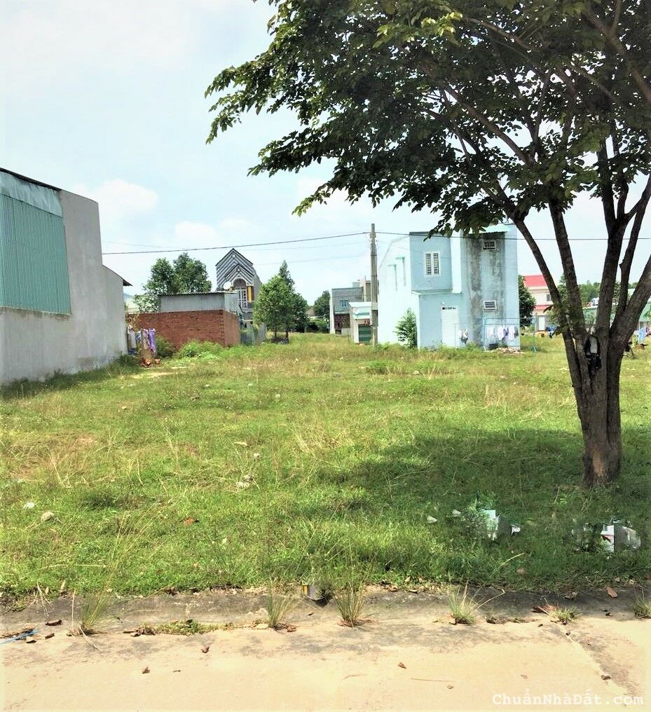 BÁN ĐẤT NHÀ 2.040M2-SHR NGAY CHỢ TRƯỜNG,GẦN KCN VIỆT-NHẬT MT NHỰA 18M. GIÁ 450TR