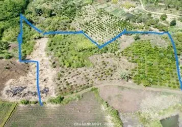 ĐẤT CÂY LÂU NĂM CHỈ 70.000Đ/M2