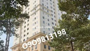 ♥️♥️♥️Tân Phước Plaza full NT Cho thuê ở ngay.♥️♥️♥️