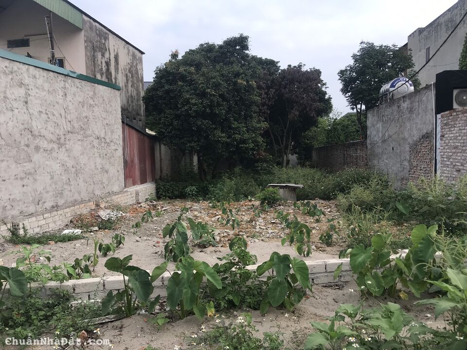 Chính Chủ cần bán mảnh đất 343m2 trên trục đường 916, gần trường Sỹ Quan Lục Quân 1