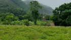 🌷 Bán nhanh mảnh đất 1628m2 Viev núi thoáng mát, Giá hơn 5tr/m2 📣📣