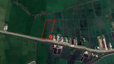 CẦN BÁN NHANH 19110 m2 Đất nông nghiệp, có sẵn 2400m2 thổ cư , đường Quốc Lộ 22, Bến Cầu, Tây Ninh