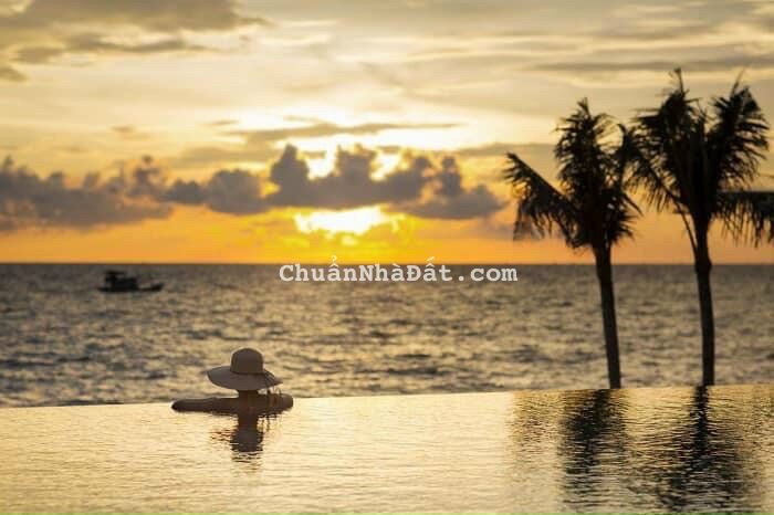 Ngộp hàng shophouse Nam Hội An giá cắt lỗ chỉ 3.65 tỷ