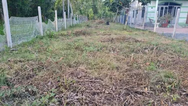 CẦN BÁN ĐẤT TẠI XÃ PHƯỚC MINH, DƯƠNG MINH CHÂU, TÂY NINH