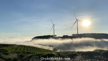 Chính chủ chuyển nhượng lô đất 2.5ha khu Bãi Dài Tiến Xuân, Thạch Thất.