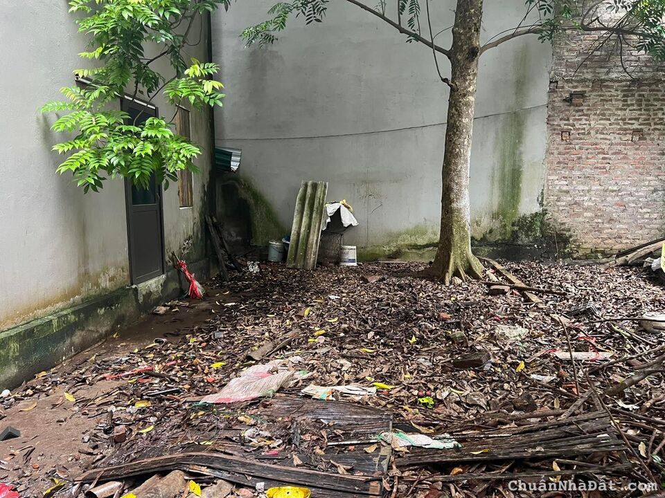 Bán 33m đất Thượng Phúc Bắc Hồng đối diện công viên giá đầu tư