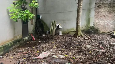 Bán 33m đất Thượng Phúc Bắc Hồng đối diện công viên giá đầu tư