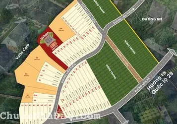 Cam kết chính sách chưa một công ty nào có từ chủ đầu tư khi mua đất tại đây