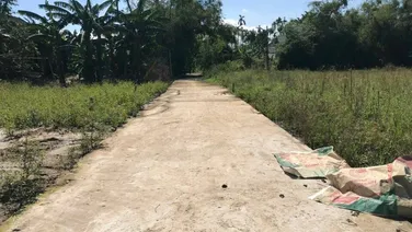 Bán Đất Nho Lâm - Quảng Phú - Quảng Điền Giá rẻ nhất thị trường