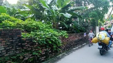 Bán đất phân lô phố Hoàng Như Tiếp,Long Biên,đường ô tô,65m,mt 6m,giá 10 tỷ.