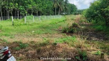BÁN ĐẤT NỀN FULL THỔ CƯ GẦN KHU CÔNG NGHIỆP