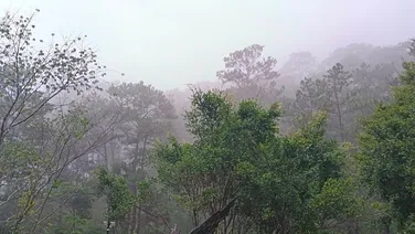 BÁN ĐẤT NỀN NGHỈ DƯỠNG, HOMESTAY FULL THỔ CƯ