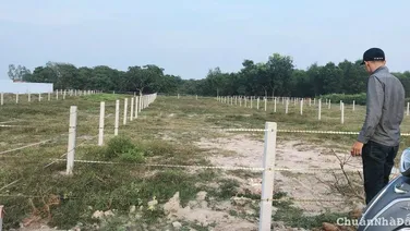 ĐẤT MT ĐƯỜNG NHỰA ĐỐI DIỆN HỒ BÚT THIỀN XÃ LONG MỸ ĐẤT ĐỎ BRVT DT 910M2 CÓ 100M2 THỔ CƯ