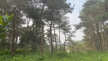 Bán đất Thung Lũng Thanh Xuân, Đại Lải, Phúc Yên