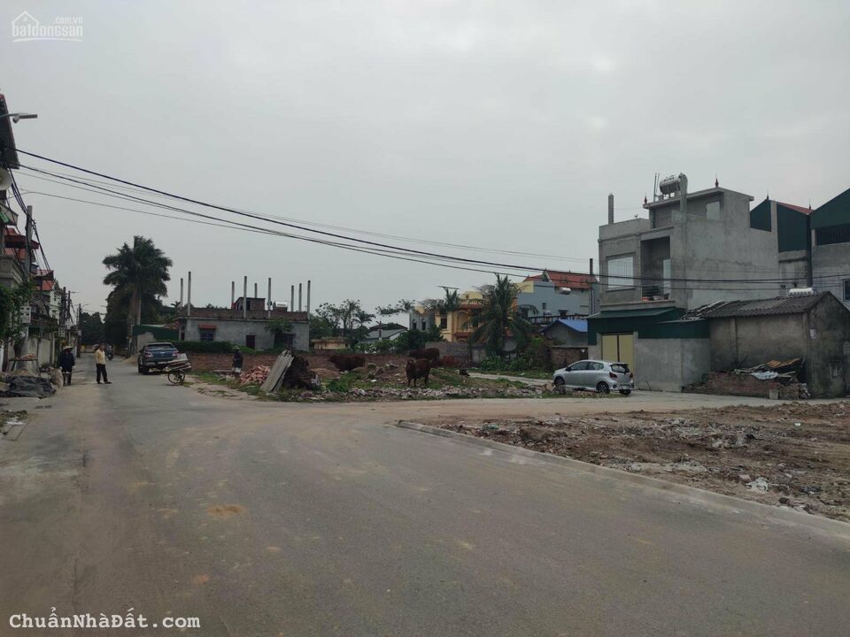 Tôi chính chủ cần bán đất đấu giá thôn Cổ Giang, Lệ Chi, DT 77.4m2.