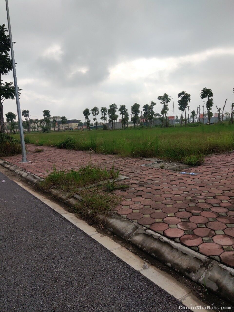 Bán đất đấu giá 75m2, MT 5m. Khu đấu giá DG06 thị trấn Quốc Oai. đã có sổ , giá Đầu tư