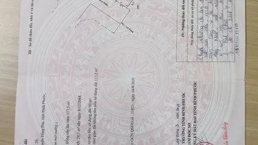 Lô góc 2 mặt tiền bắc năm 4 & nguyễn hữu thọ